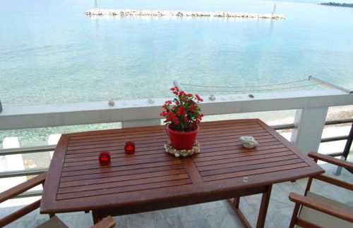 Asmini Studios - Foto 49