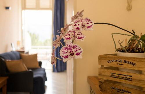 Vento Verde Apartments - Foto 40