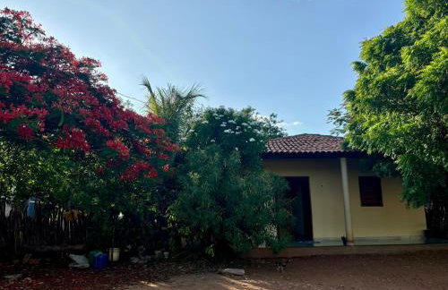 Toca da Onça - Foto 3