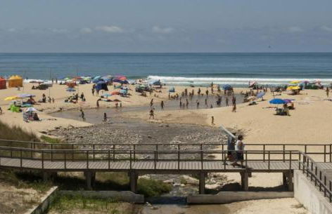 Paredes da Vitória - Foto 15