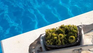 APARTMENTS ANA - Foto 4