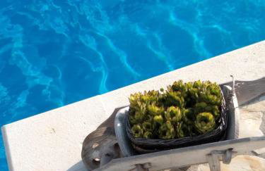 APARTMENTS ANA - Foto 4