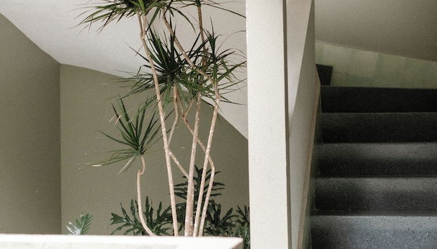 Kin Pech Roma by Capitalia - Foto 5