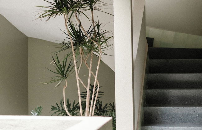 Kin Pech Roma by Capitalia - Foto 5