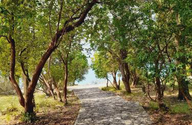 Apartment Fancy - Foto 52