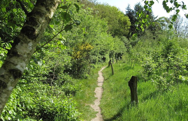 Cozy House near River - Photo 23