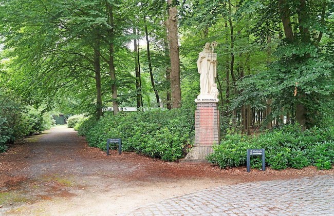 Cottage in Schijf With Garden - Foto 34