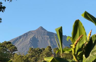 Casa Amaral - Photo 31