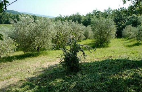 Villa di Piera - Foto 49