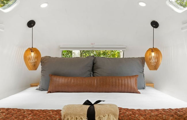 Silver Fern in Pisgah Forest - Foto 19