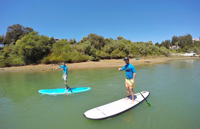 Monte do Zambujeiro - Foto 79