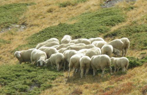 Agriturismo Raethia - Foto 24