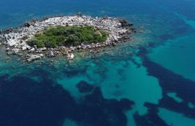 Olive Garden Beachside Hideaway - Photo 41