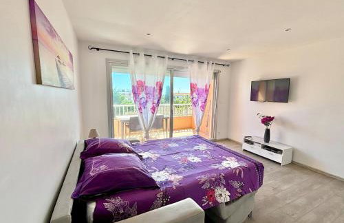 Grand studio climatisé, piscine, plage 5mn, parking gratuit - Foto 8