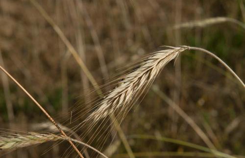 Dom z basenem nad Narwią - Foto 30