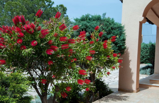 Villa Hera At Cape Sounion - Foto 41