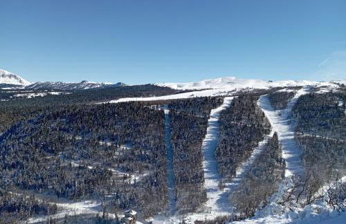 Appartement au Cœur du Col de Rousset - Foto 22