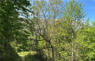 Il Giardino di Sant'Eufemia - Foto 55