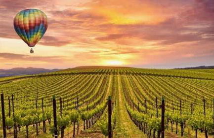 WineCountry Retreat with Casita Bocce & Sunset Views - Foto 33