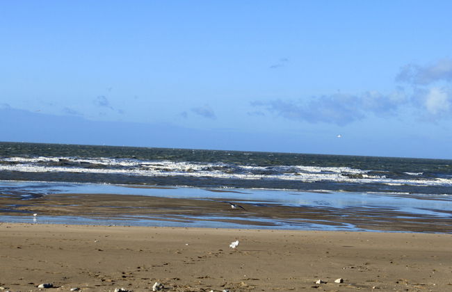 Le Garden Fleuri - Foto 23