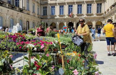 L'Empire D'Essences Appartement - Foto 65