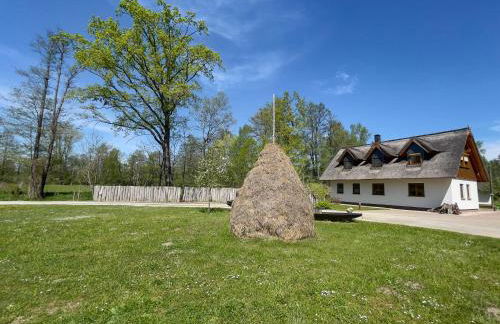 Ferienwohnung Storchennest Spreewald - Photo 13