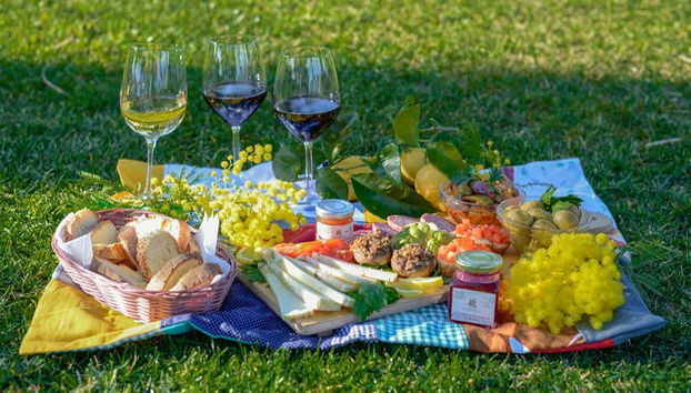 A lovely picnic