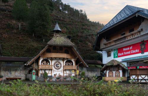 Rita - Atemberaubende Wasserfälle im Schwarzwald - Foto 14