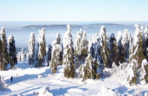 Ferienwohnung am Weissenstädter See - Foto 16