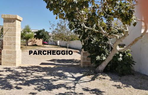 Terra di Leuca - Foto 7