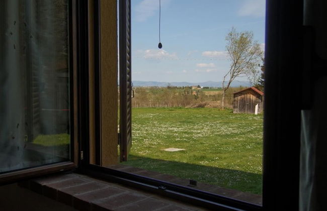 Poderaccio Alto - Foto 24