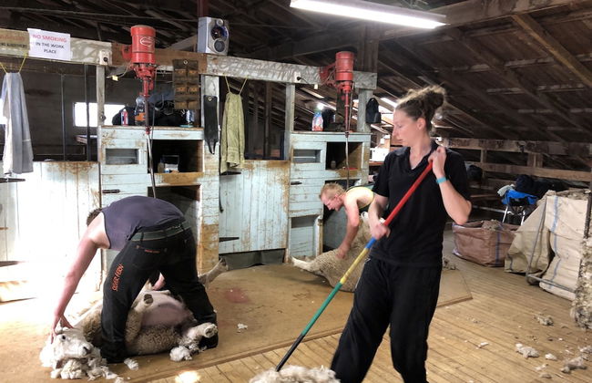 Pahau Downs High Quality Farmstay - Foto 13