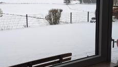 Eifel Panorama Appartement - Foto 4