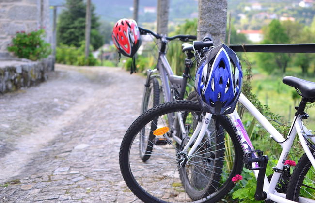 Quinta do Olival - Photo 40