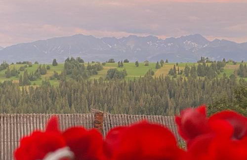 Dom Tatrzański Widok - Foto 42