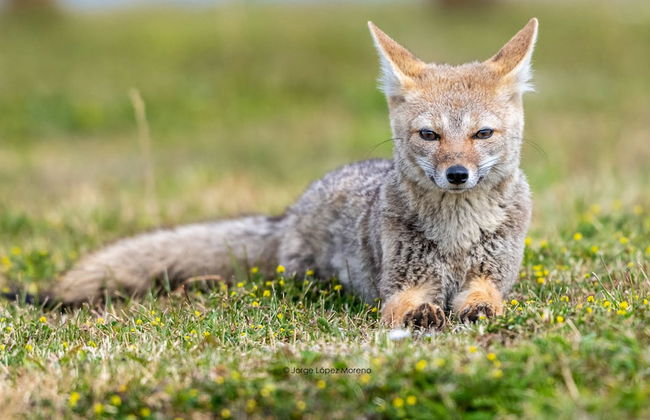 Riviera Fueguina Apartments - Foto 64
