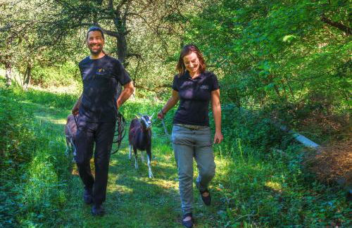 Historische Mühle Vogelsang - Foto 71