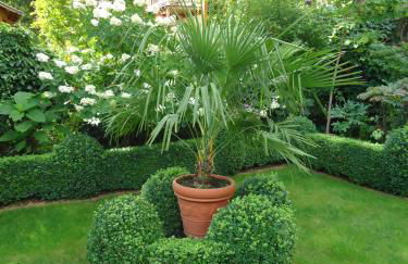 Ferienwohnungen Salzwedel Weissbach - Foto 24