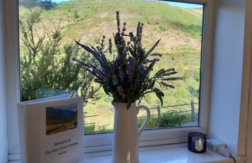 Afan Valley Home - Contractor Accommodation - Foto 15