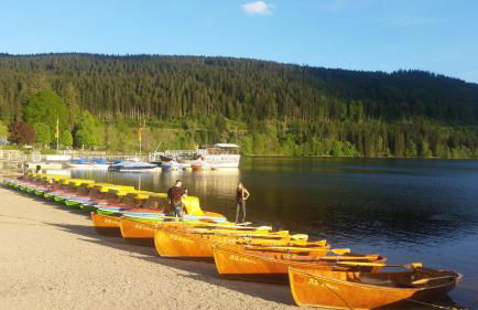 Landhaus-Apartment Feldbergblick - Foto 30