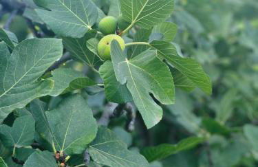 The House By The Sea - family memories strats here - Foto 8