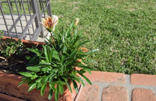 Al Boschetto - Photo 15