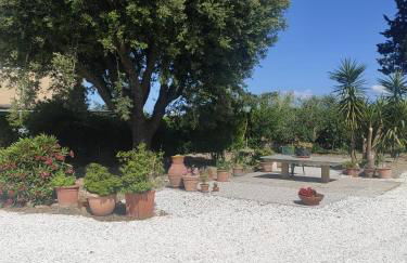 Il Leccio Agriturismo - Foto 33