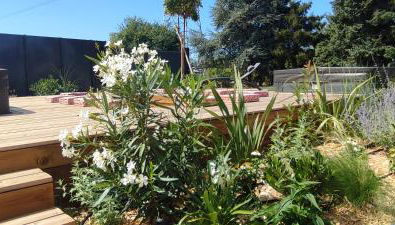 Pomme de Reinette - Photo 4