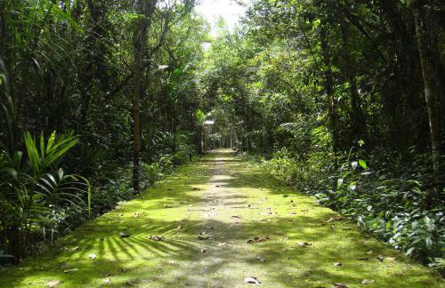 Casa Enorme para 12 pessoas, 4 suites e um fundo com 18mil metros de mata e um pier no rio que sai para o mar-Internet 100MB - Photo 22