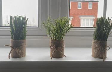 Henry Blythe Gardens - Foto 16