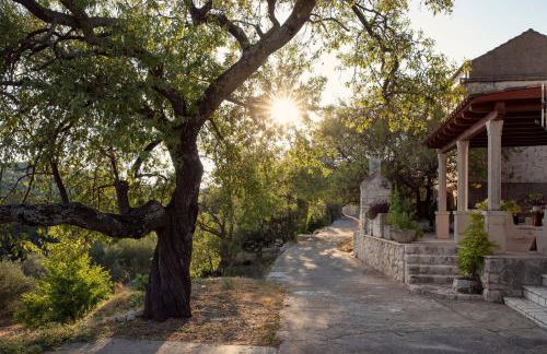 La scuola di Anna - Foto 7