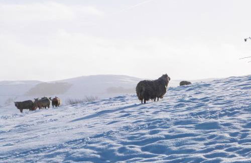 Park Grange Cottage - Foto 28