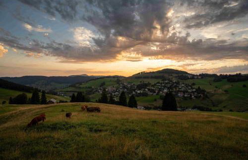 Ferienwohnung Ausklang - Todtnauberg, Feldberg - Foto 20