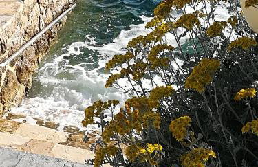 Apartman JURJEVIĆ - Photo 11